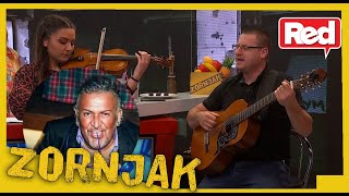 Zornjak - Beogradski Sindikat - Balada disidenta Cover - 22.12.2020. - Red TV