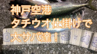 神戸空港タチウオ仕掛けで大サバ達今日も！ｆｉｓｈｉｎｇｍａｘ神戸ハーバー店