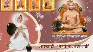 Acharya Sunil Sagarji Maharaj Guru Pujan  आचार्य सुनील सागर जी महाराज गुरु पूजन