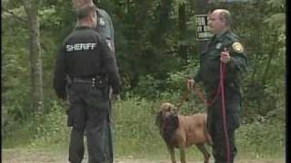 Search Continues For Missing Federal Prisoner