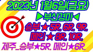 금요 부산 경마 예상 승부예측 정보 방송(2023년1월6일)