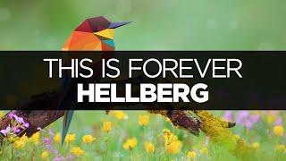 [LYRICS] Hellberg - This Is Forever (ft. Danyka Nadeau)