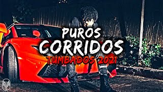 😈MIX CORRIDOS TUMBADOS 2021👿Puros Mix De Legado 7, Herencia De Patrones, Junior H, Fuerza Regida