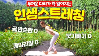 🌈매일 10분씩 ‘이 동작’을 한다면 다리에 기적같은 변화가 나타납니다.