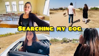 🥺SAD NEWS Exam Ke time pe hi mera Dog kho gaya | Searching our Dog | Bindass Kavya Vlogs