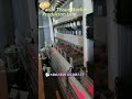 Super nice fully V interfolded facial tissue machine production line from folding to packing machine