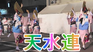 「天水連」鳴門阿波おどり2024＠鳴門駅前西おどり広場