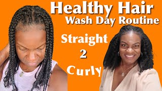 Watch My Natural Hair Revert From Straight to Curly  Wash Day Routine on Thick Hair