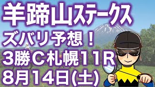 【投資競馬塾】羊蹄山ステークス（3歳3勝C ）札幌11R★ズバリ予想！★8月14日（土）