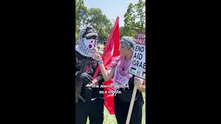 Undercover at a Pro-Palestinian Rally (Part 1)