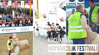 3. Küçükbaş Hayvancılık Festivali - 1. Bölüm