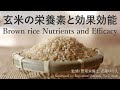 玄米の栄養素と効果効能　Brown rice Nutrients and Efficacy