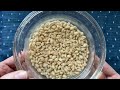 barley water how to prepare barley water weight loss drink