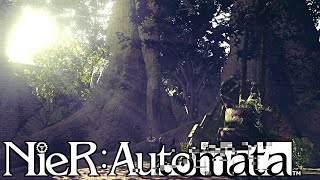 【NieR：Automata】命もないのに、殺し合う。＃３５