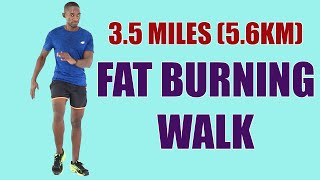 3.5 Miles Fat Burning Walking Workout at Home/ 45 Minute Walk at Home Workout