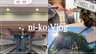 [Vlog] 社会人の平凡な休日🌱𓂃 𓈒𓏸 lunch🍣  / KALDI  / コストコ🛒