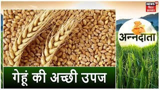 Annadata | गेहूं की बुवाई पर तकनीकी सलाह | Wheat Cultivation