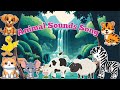 Animal Sounds Song A8| Best Animal Sounds Song | FUN FUSION