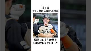 「杉谷拳士」に関する雑学 #野球 #杉谷拳士 #野球解説