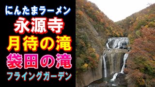 20191113袋田の滝ツーリング　バイク：シルバーウイングＧＴ600　紅葉　にんたまラーメン　永源寺　月待の滝　フライングガーデン