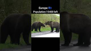 Bear population of each area #viralvideo #youtubeshorts