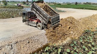 Wow! Resize Landfilling Into Flooded Area Project With Smart Dozer Driver Work With Dump Trucks Team