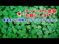 海外の反応 感動 台湾からの東日本大震災支援に日本人が開催した10周年感謝イベントが現地で大反響を呼んだ訳とは ？台湾人から大喜びの声が続出