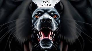 반려견의 공격적인 행동을 파악하는 방법과 주의할 사항 #dog's aggressive behavior #shorts