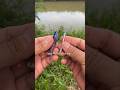 DIY Fishing Tackle How to set Fishibg bait #fishing #mancing #fishingknot #tutorial #diy