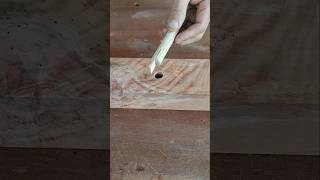 #diy Woodworking Tips #shorts #wood #tips #woodworking