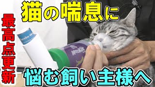 【後編】呼吸が苦しい犬と猫に開発された製品を獣医師が本気で評価！（エアロキャット/エアロドッグ）