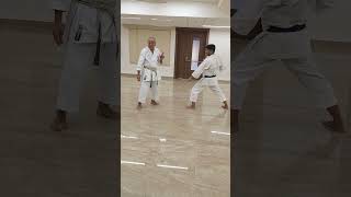 Kihon kumite: Jodan nagashi uke \u0026 Enpi uchi or Haito uchi with Irimi and 90degree Tenshin foot work