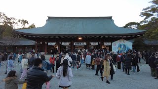 【奈良】久米寺～橿原神宮 Kumedera Temple - Kashihara Jingu Shrine (Nara, Japan) (2024)