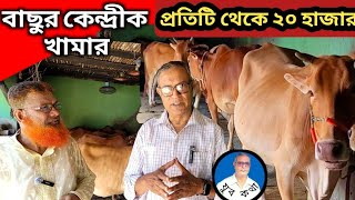 বকনা বাছুরের খামার। গাভী পালন। দেশি গরুর খামার। Cow farming. যুব কথা - রায়হান দেওয়ান।।