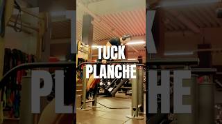 Tuck Planche #calisthenics