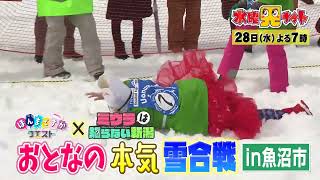 水曜見ナイト　2月28日（水）よる７時「ほんまですかクエスト」×「ミウラは知らない新潟」おとなの本気　雪合戦　ｉｎ　魚沼市