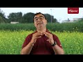 सरसों की खेती 2024 🌾 mustard farming 📅 सरसों की खेती कब और कैसे करें agrostar sarso