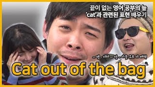 고양이 팟캐스트_ 'cat out of the bag' _ 키티피디아 시즌 3