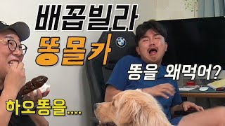 [몰카]역대급 배꼽빌라 강아지똥 몰카!!ㅋㅋㅋㅋ