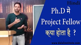 What is a Project Fellow in PhD?