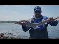 smoothound fishing with peeler crab for bait.