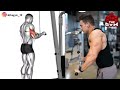 6 big arms exercises fastest grow your arms