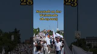 #neustadt #umzug #peace #demo #protest