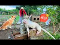 Ruby, Grandpa and Mom build outdoor kitchen, tend garden