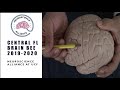 Central Florida Brain Bee Lecture #1-Anatomy of the Central Nervous System (Detailed)