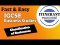 IGCSE Business studies 0450 - 1.2 Classification of Businesses