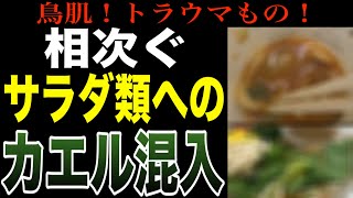 【閲覧注意】丸亀のシェイクうどん始め、相次ぐサラダにカエルの混入！詳しく見ていく！