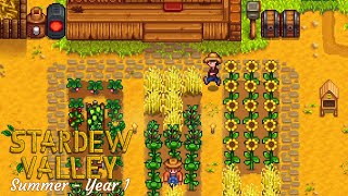 Stardew Valley Chill Gameplay For Relax Or Study - Full Summer Year 1  No Commentary