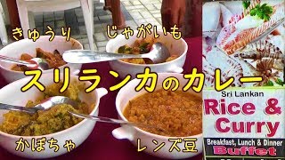 本場のスリランカカレーを食べてみた【スリランカ旅】