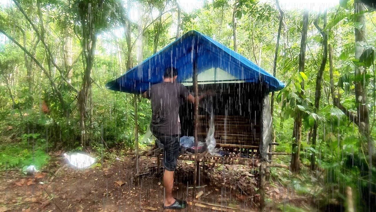 Solo Camping Hujan Deras/seharian Diguyur Hujan Didalam Hutan - YouTube